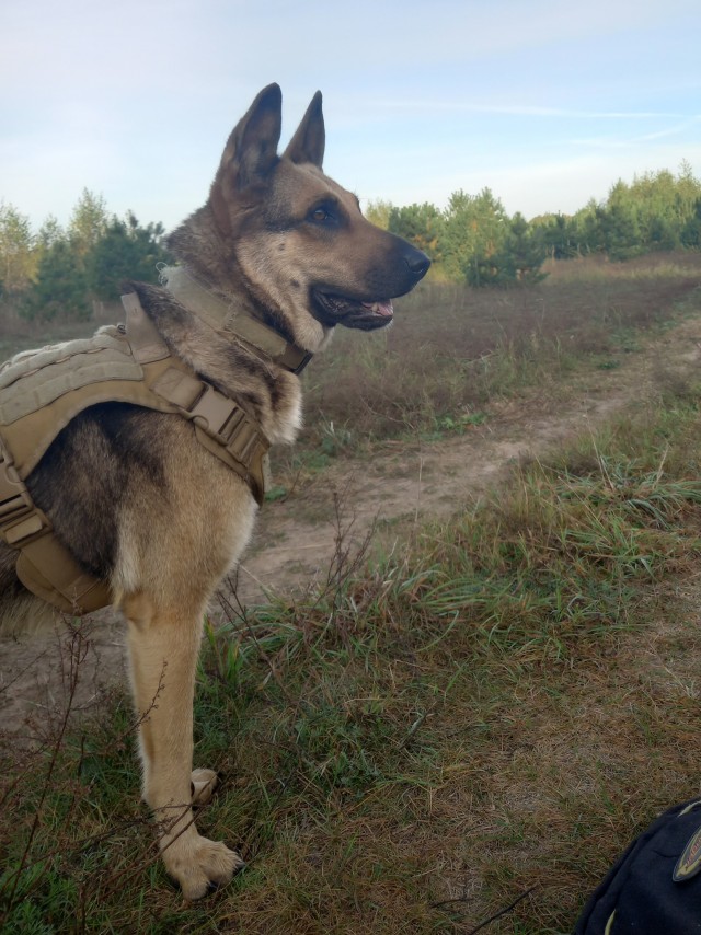 Всем привет