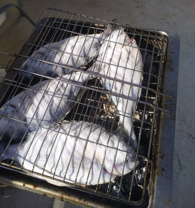Муксуна малосольного из Сургута подогнали