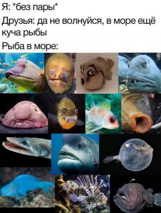 Картинки разные с надписями и без