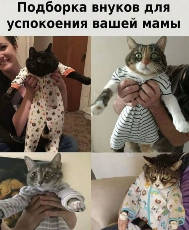 Завалялось тут случайно немного забавных картинок