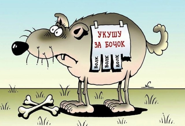 Так себе картинки 09.11.24