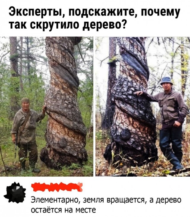 Так себе картинки 15.01.25