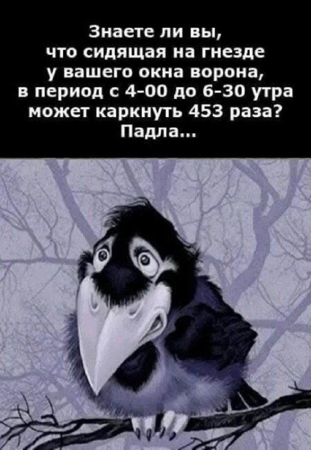 Так себе картинки 23.02.25