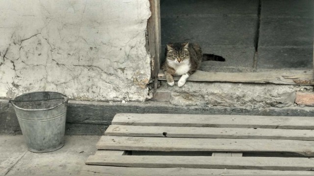 Одной картинки псто!