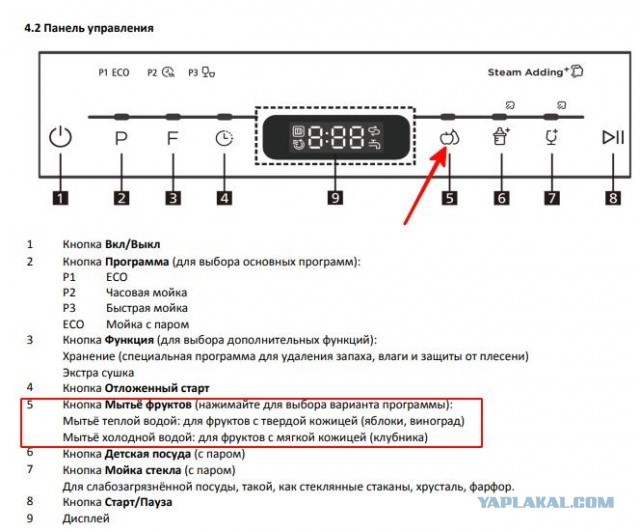 Женщины познают мир