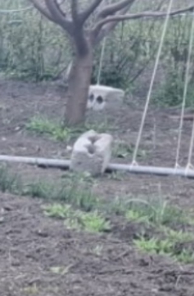 Знаете что такое маразм?
