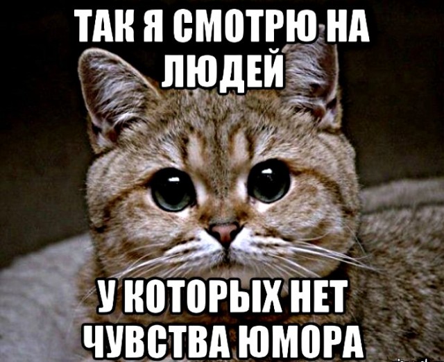 Вроде, уже пару веков как запретили такую торговлю...