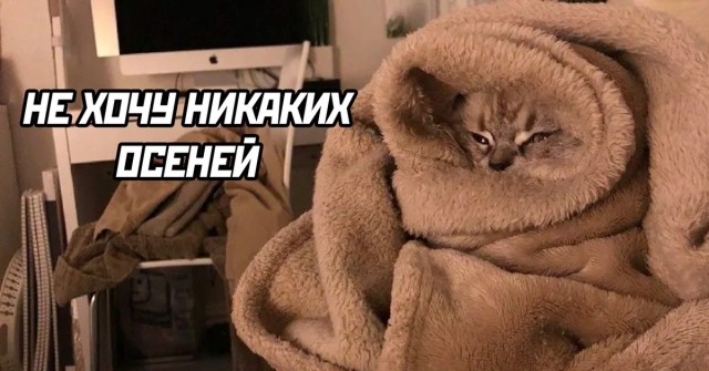 Скоро зима…