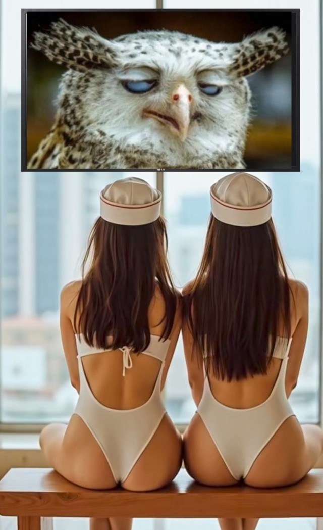 Среда официальный день сов на ЯПе?