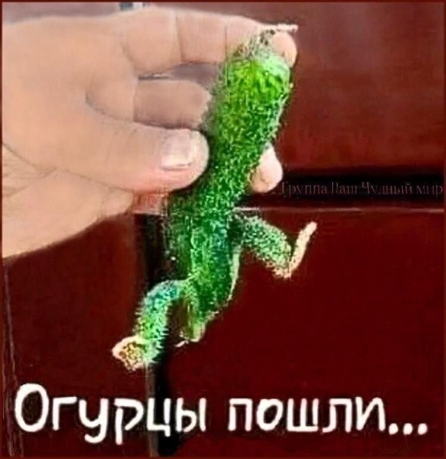 Так себе картинки 28.06.25