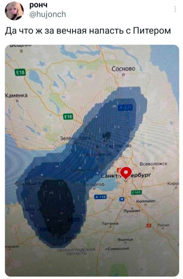 Веселый полтишок (09.07.2025)