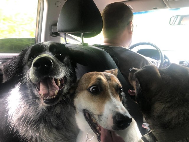 Четверг - день хулигав и ебалаев.