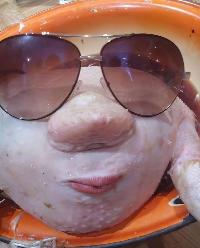 Веселое настроение в картинках (12.07.2025)