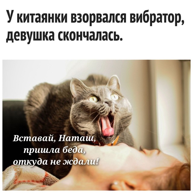 Чучуть картинок разных