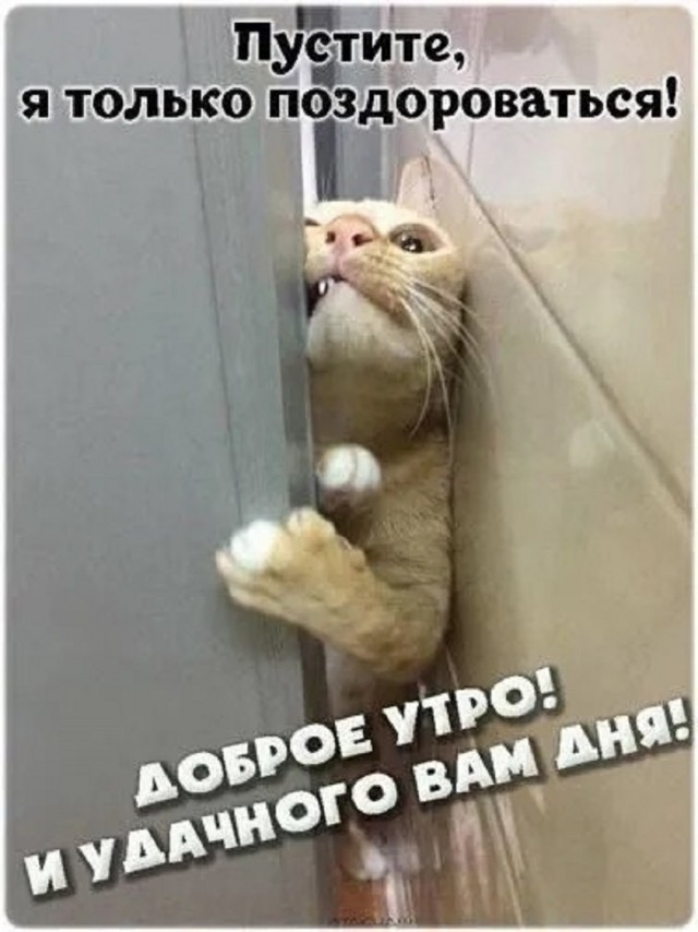 Так себе картинки 16.10.25