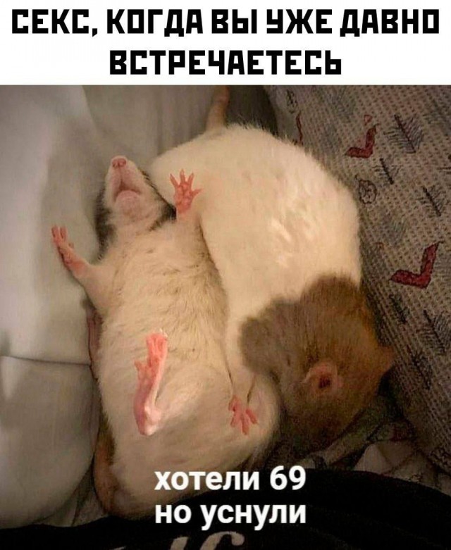 Картинки для деградации 73 (разной степени свежести)