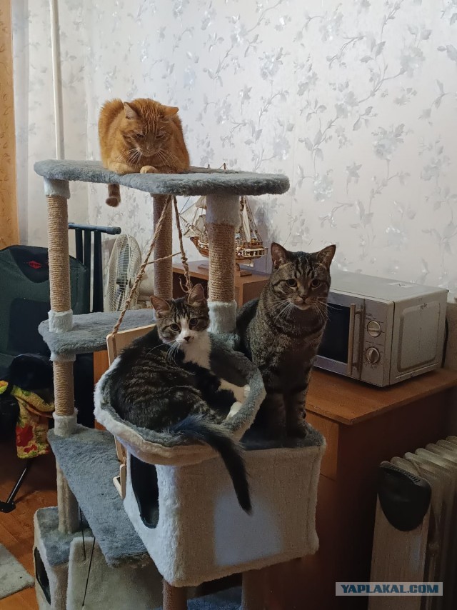 Возвращение доверия