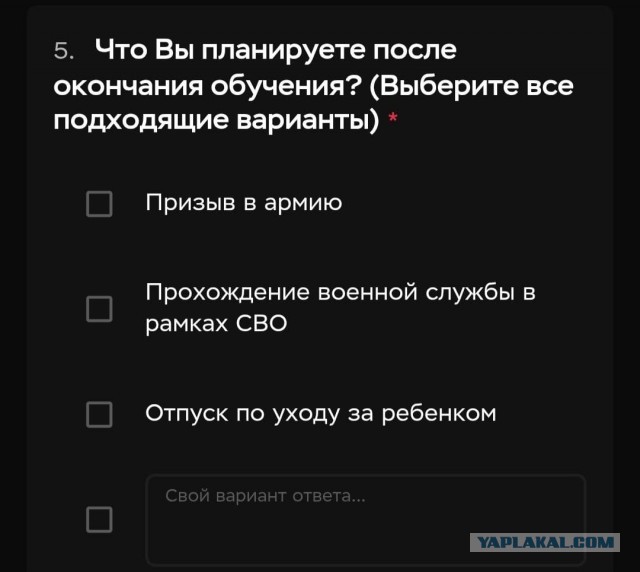 Ну а чем ещё заняться после ВУЗа?