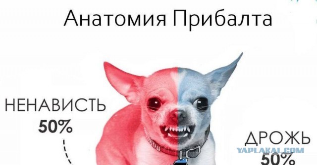 Держите меня семеро, а то я его порву!