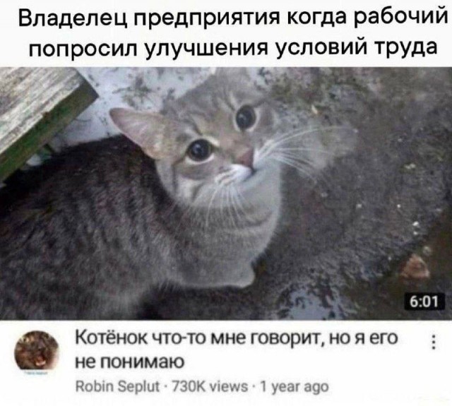 Воскресные картинки