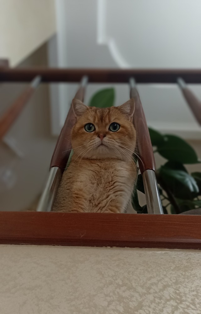 Беспредел