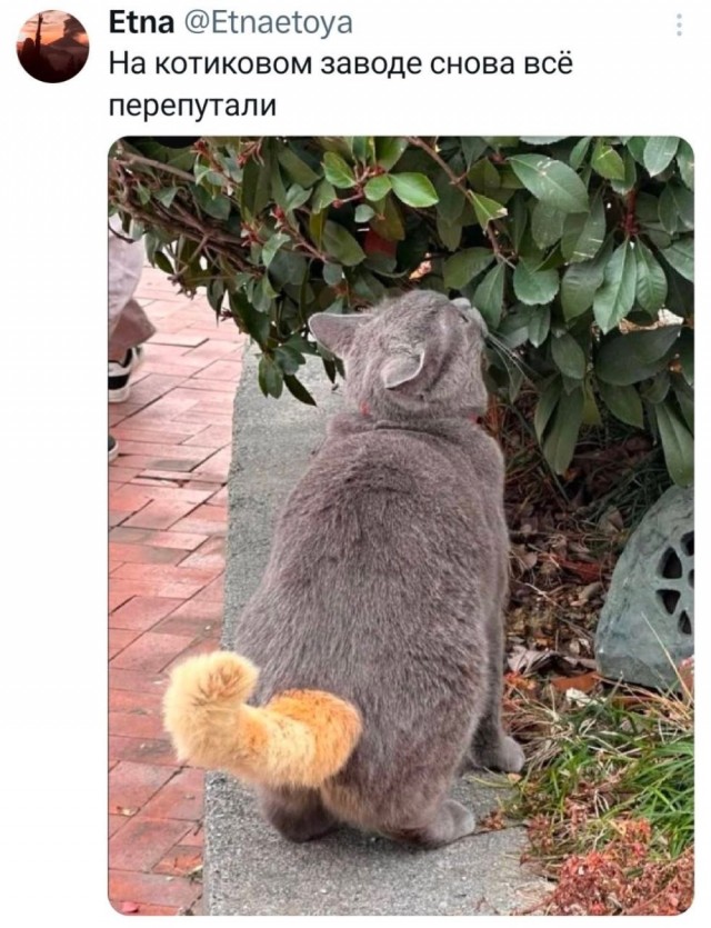 Понедельника картинки