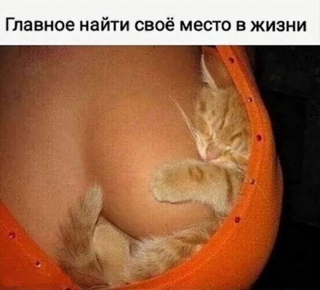 Про "сильных женщин"