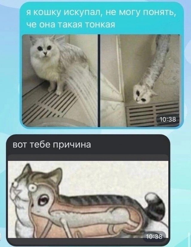 Юстас-Алексу: сегодня не бесоёбь
