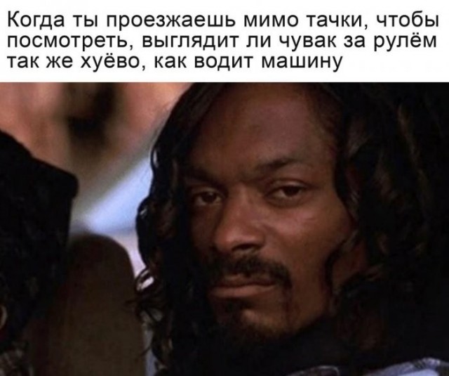 Веселые картинки в понедельник (24.08)