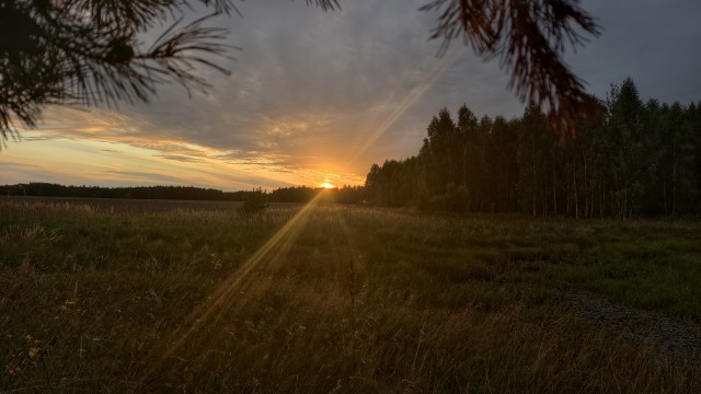 Летний вечер в деревне