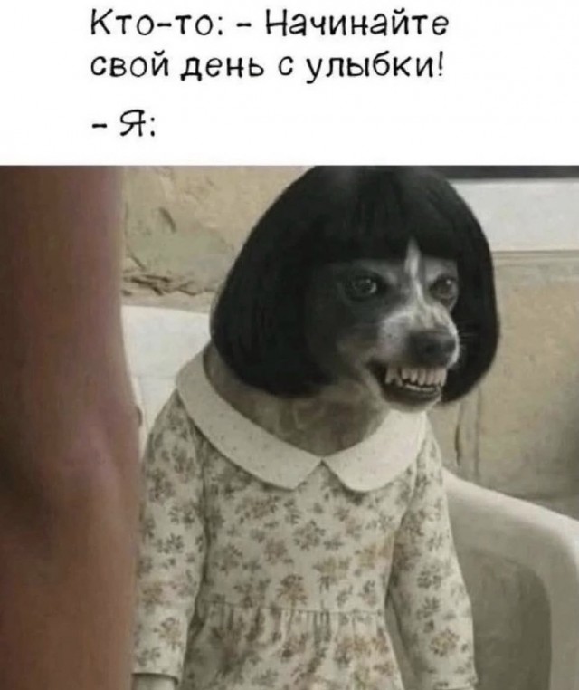Так себе картинки 27.09.26