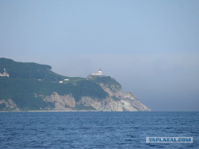 Природа Приморского края