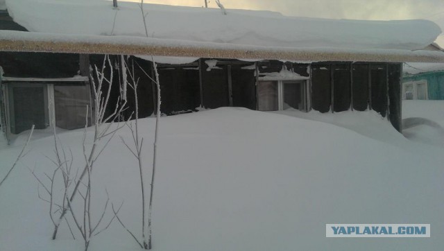 Заполярье ЯНАО