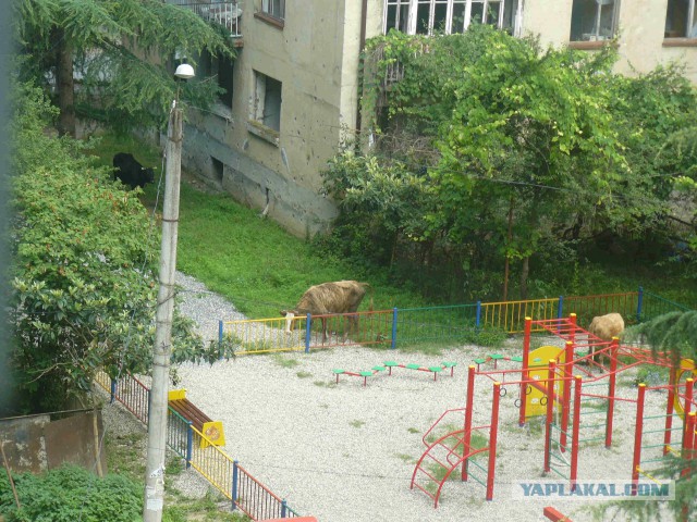 Великолепная Абхазия