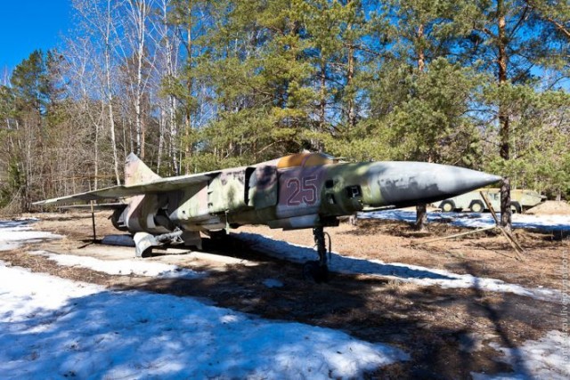 В глухом подмосковном лесу...