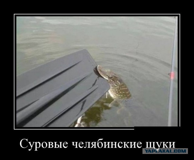 Чувашия. Рыбалка на "платнике" июнь 2014