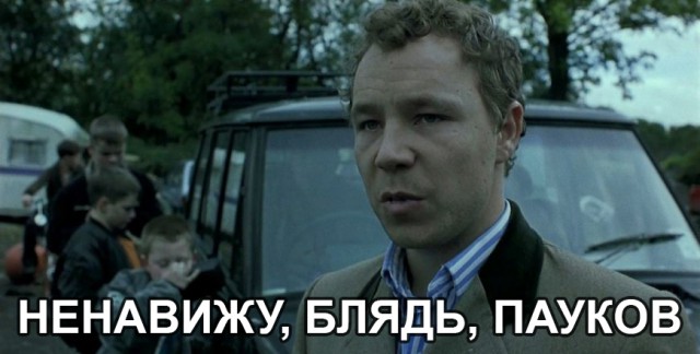 В тропическом лесу обнаружили огромного паука