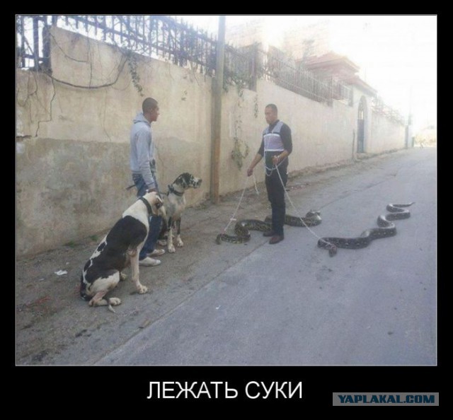 Улыбнемся в понедельник!