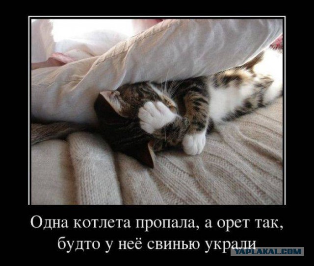 Пятничная подборка