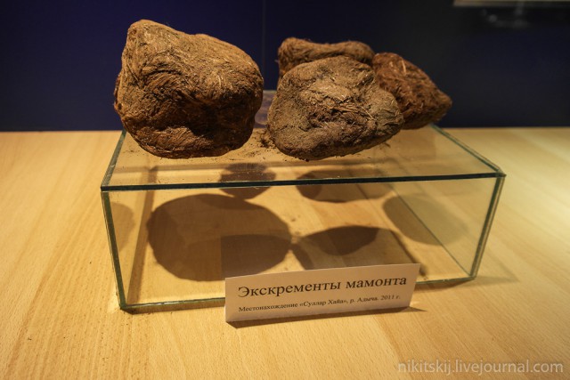 Первый выход главного героя в индийском фильме