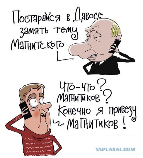 Какая лапа....