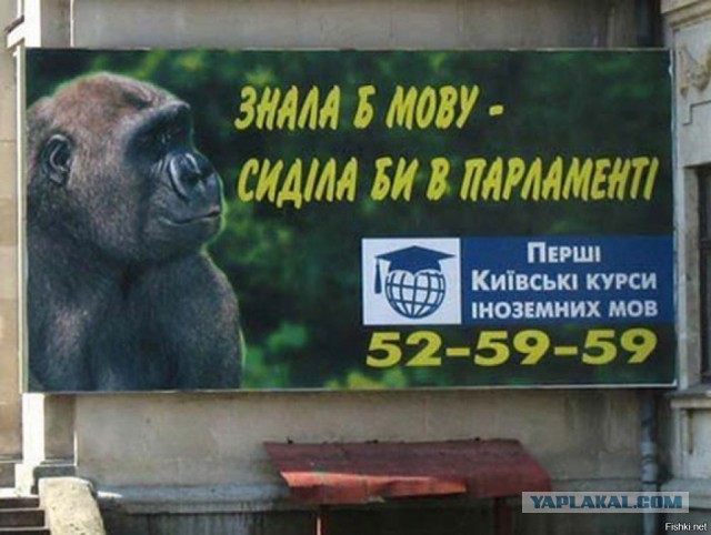 Геополитика в картинках