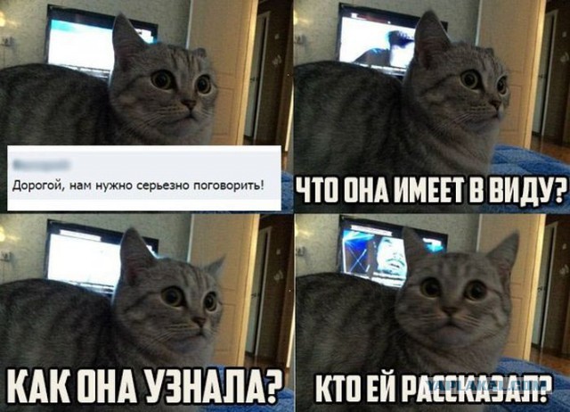 Смешные комментарии 07.01.2016
