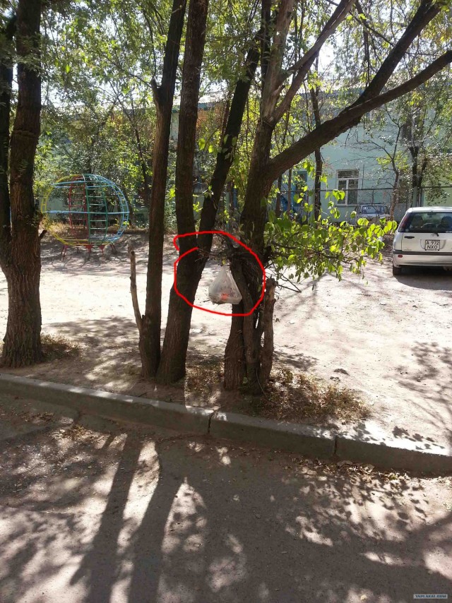 - Я хозяин, ЧЁ хАчу то и делаю.