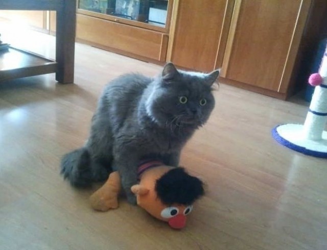 Очередная подборка картинок из сети