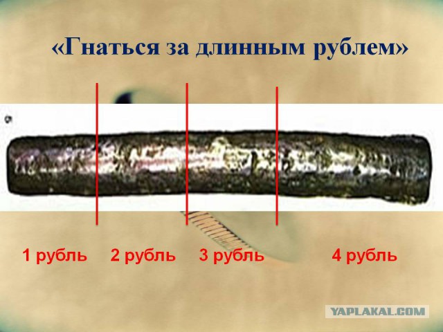 10 открыток с краткой историей всем знакомых слов