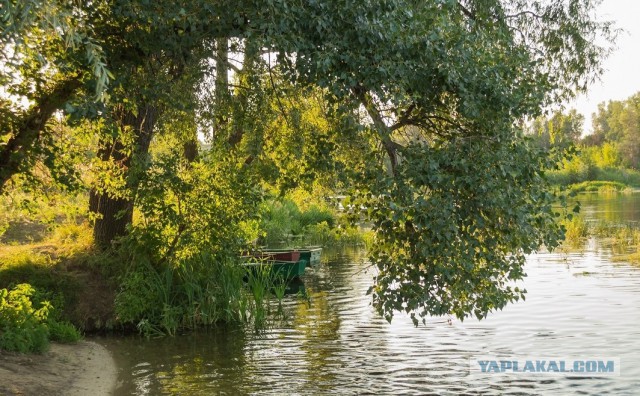 Подборка "тёплых, уютных, домашних" фотографий. Часть 2