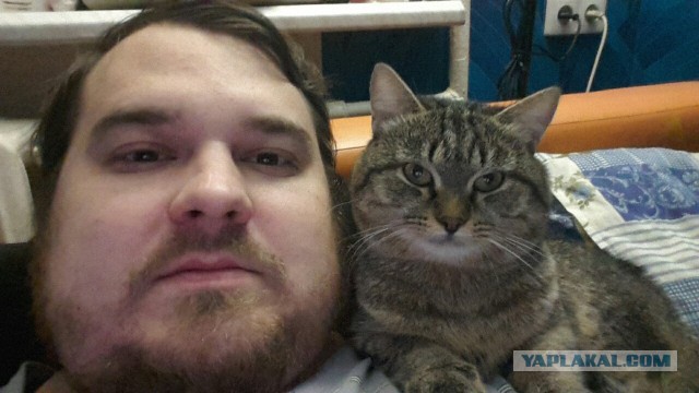 Что делать с котом