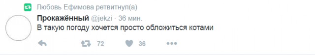 Смешные комментарии 09.10.2016