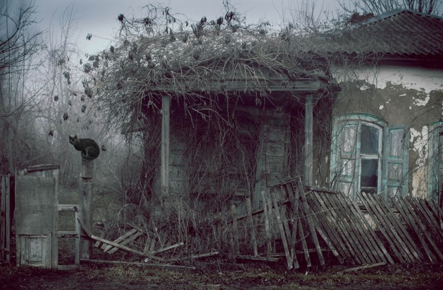 Моменты, запечатлённые на фото и просто позитив 5